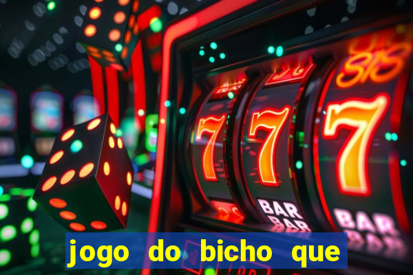 jogo do bicho que paga no pix